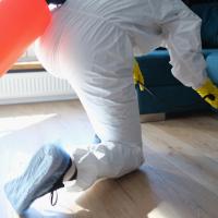 exterminator spraying under a blue couch