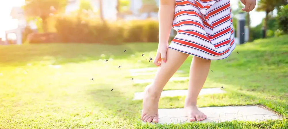 Child in Yard Scratching at Mosquito Bites
